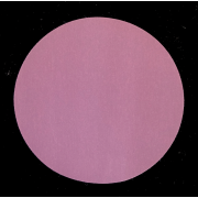 SIAspeed Schleifscheiben &oslash; 80 mm Sia 1950 Schleifpapier ungelocht